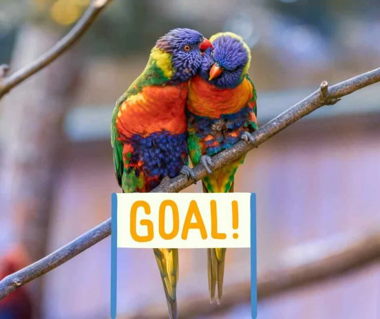 Navigating pornography as a couple3